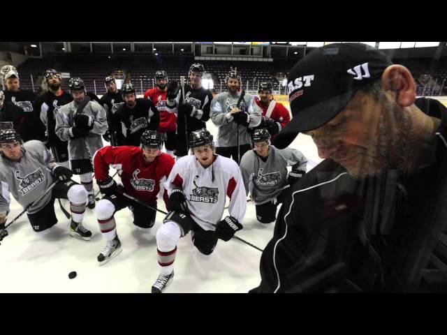 Brampton Beast - Our NHL