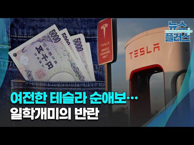 여전한 테슬라 순애보…일학개미의 반란 [상반기결산]/한국경제TV뉴스