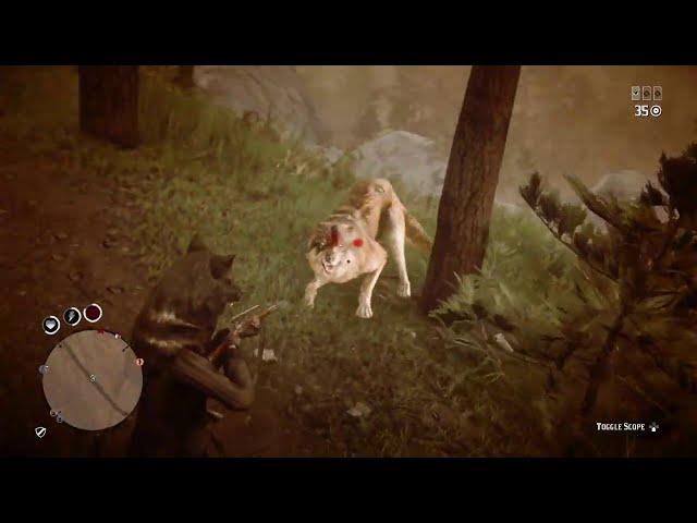 The Most BS Legendary  Emerald  Wolf Hunt Ever!
