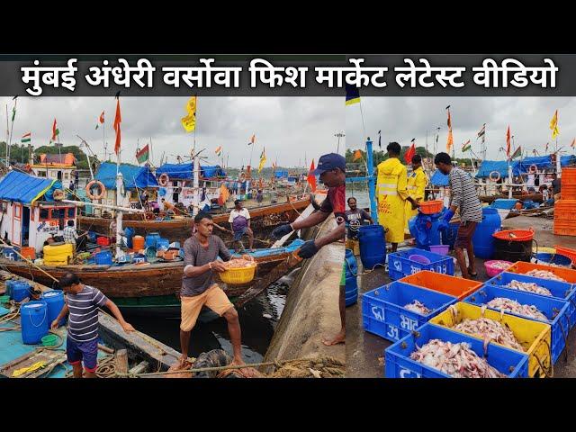 Andheri Versova West Fish Market | Versova Fish Market Andheri | Mumbai Andheri Versova Jatti