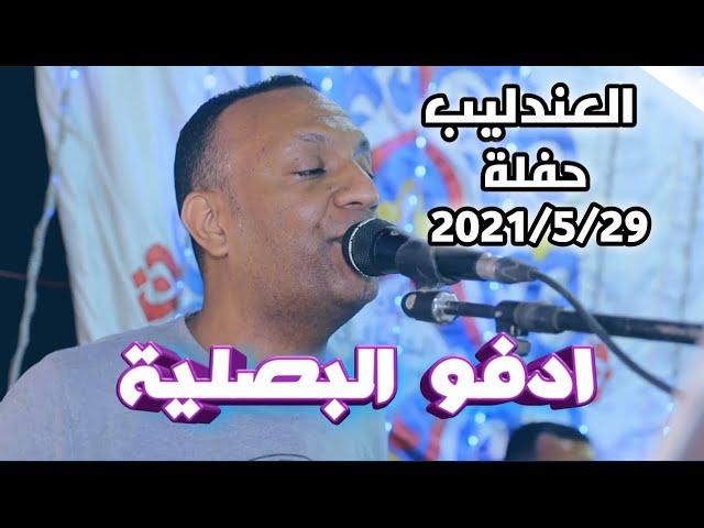 العندليب || حفلة ادفو البصلية || اوعى تفوتك 2021