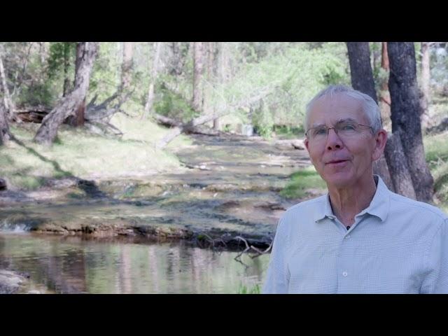 Redstart Cabin - Intro