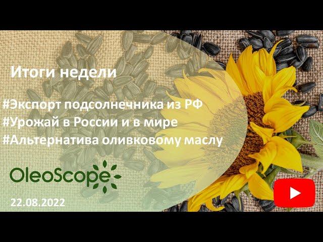 Итоги недели. Экспорт подсолнечника из РФ, урожай в России и в мире, альтернатива оливковому маслу