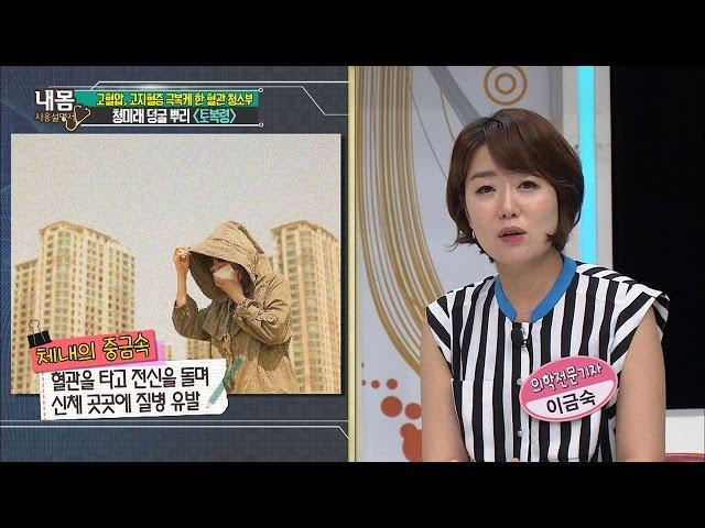 현대인에게 필수! 중금속을 배출해준다! [내 몸 사용설명서] 110회 20160708