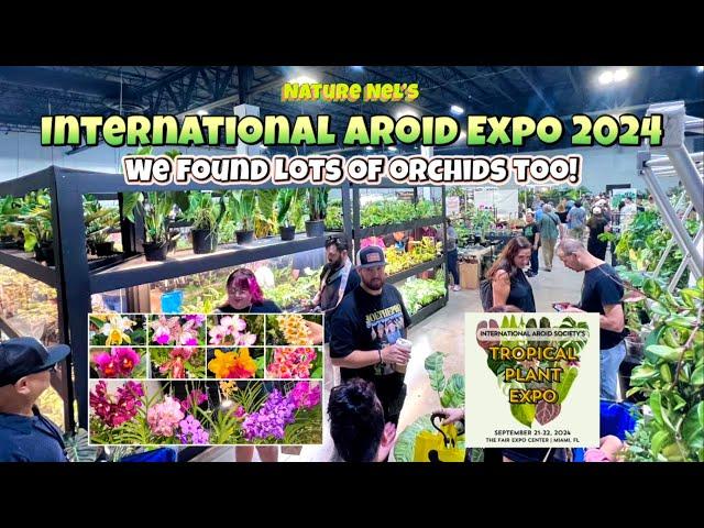 International Aroid Expo in Miami, FL. One of the worlds greatest aroid event. Plus lots of orchids