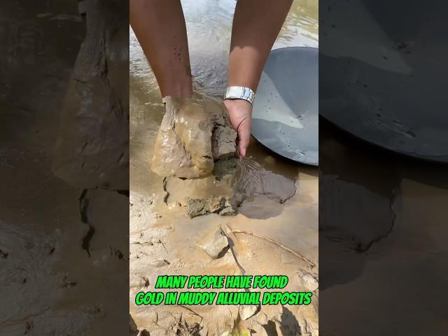 Traditional #goldmining proves the rumor about muddy alluvial soil #goldrush #goldpanning