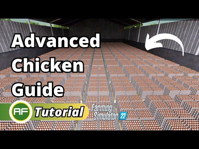 Advanced Chicken Guide EASILY Make $1.8 Million From EGGS In Farming Simulator 22