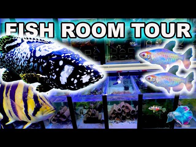 MY CRAZY FISH ROOM TOUR ~ I GOT NEW FISH!