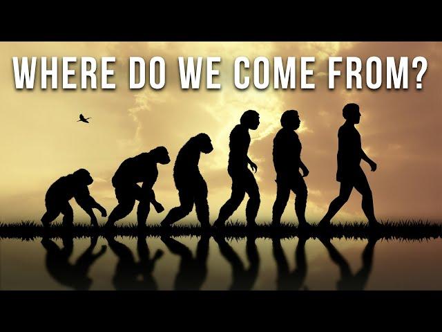 Human Evolution: The Complete Story Of Our Existence