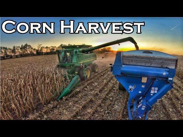 CORN HARVEST 2017 | WERNER FARMS