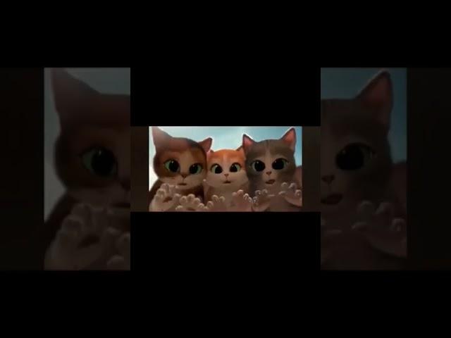 как мило️#котики #кот #коты #котвсапогах #кот_в_сапогах #милыекотики #смешныекоты #ржака#поугарать