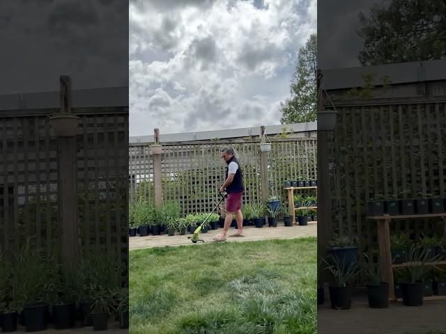 Let’s clean up the yard lawn trimming time