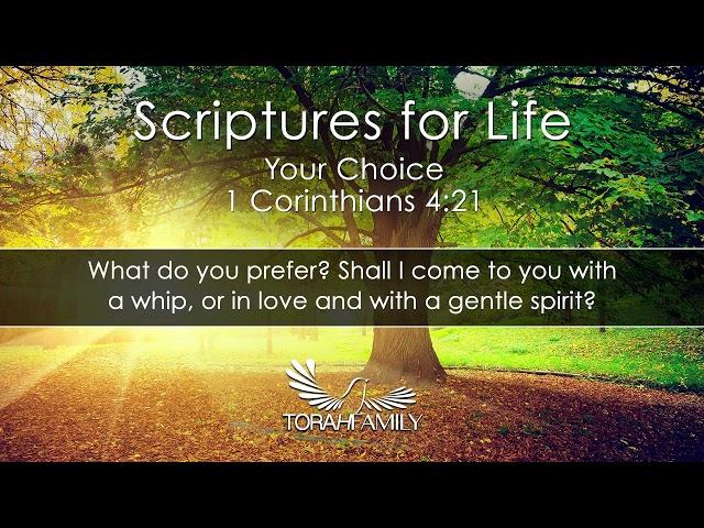 Scriptures for Life | Your Choice