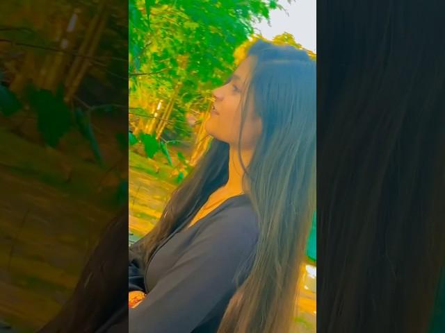 #diljhoom #gadar2 #foryou #shortvideo #viralvideo #trending  #cute #shortsfeed #shorts