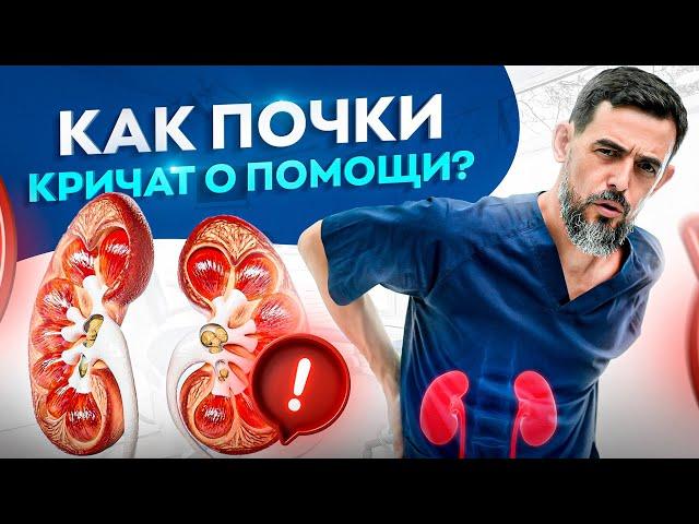 10 признаков проблем с почками. Эти симптомы нельзя игнорировать и вот почему…