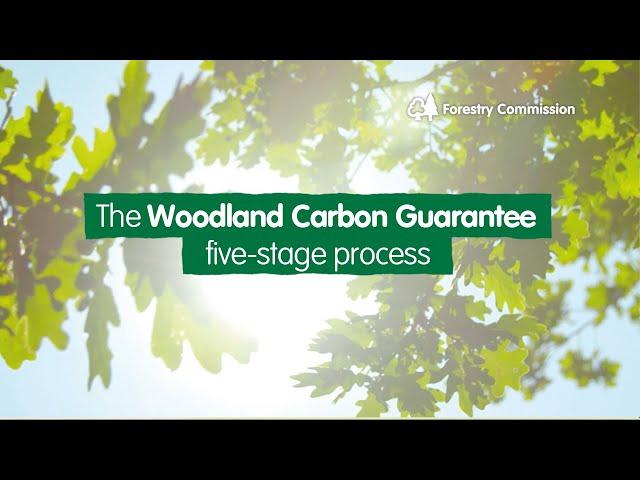 The Woodland Carbon Guarantee five stage process