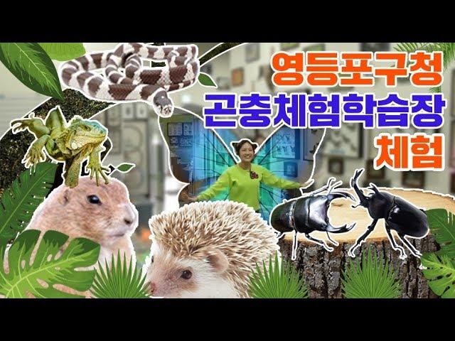 슈슈의 신기한 곤충체험학습장 리뷰 살아있는 곤충&파충류 만져보기 동물 먹이주기 체험 표본 Insect collection Lizard hamster for kidsㅣ똥꼬발랄 슈슈