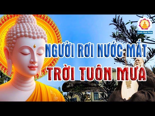 Kể Truyện Đêm Khuya Ngủ Ngon "Những Câu Chuyện Về Tình Cha Nghĩa Mẹ Sâu Sắc, Rung Động Lòng Người"