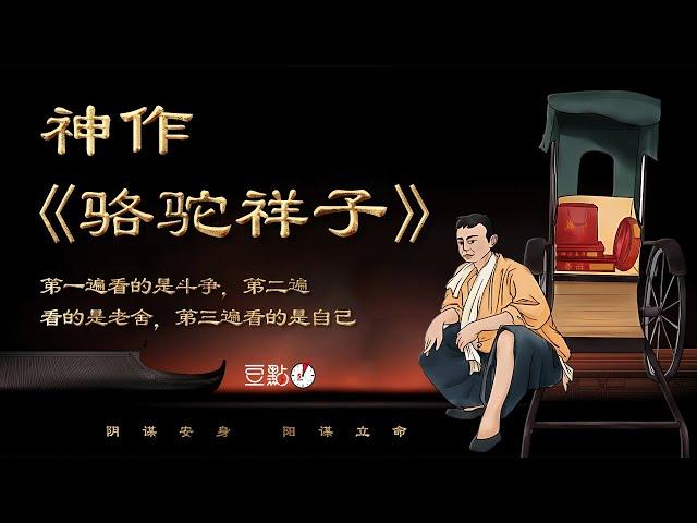 神作《骆驼祥子》 I 认知觉醒 I 智慧谋略 I 思维 I 强势文化 I 隐学真知篇【豆點5分钟】