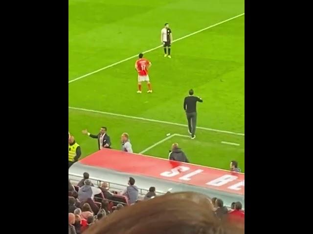 Benfica fans throw objects to Roger Schmidt after he subs off Joao Neves for Joao Mário