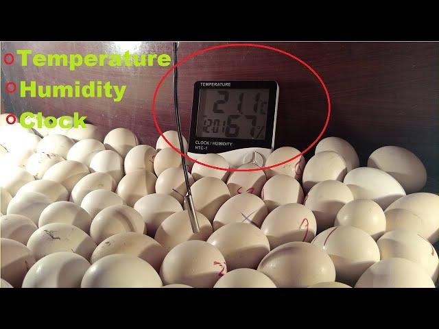 Best  Digital temperature and humidity meter for egg incubator || Mian inventions