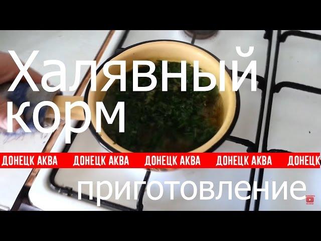 Amazing idea, как приготовить корм для рыбок, How to make fish food, cómo hacer alimento para peces