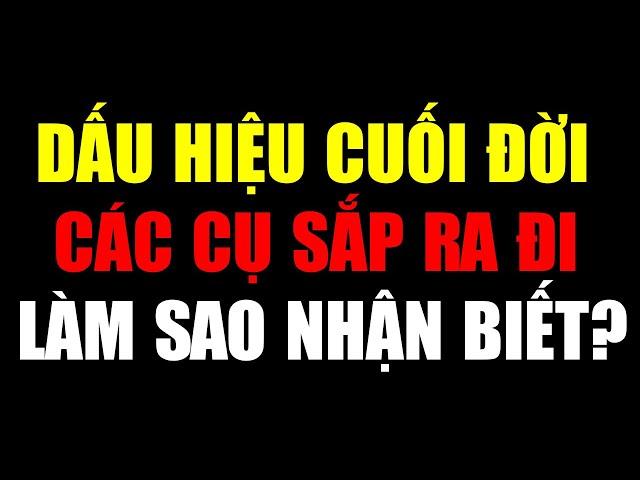 Người Già Yếu Dần: Dấu Hiệu Cuối Đời Ít Ai Để Ý
