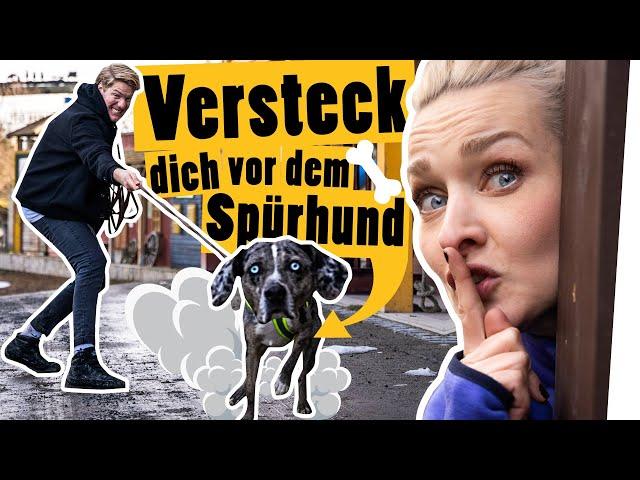 Verstecken mit Ari und Spürhund in der Westernstadt || Challenge || Das schaffst du nie!