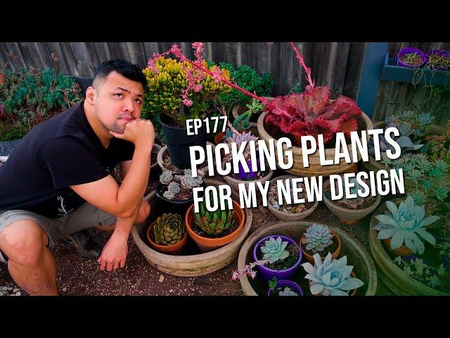 #177 Picking plants for my cascading succulent garden design