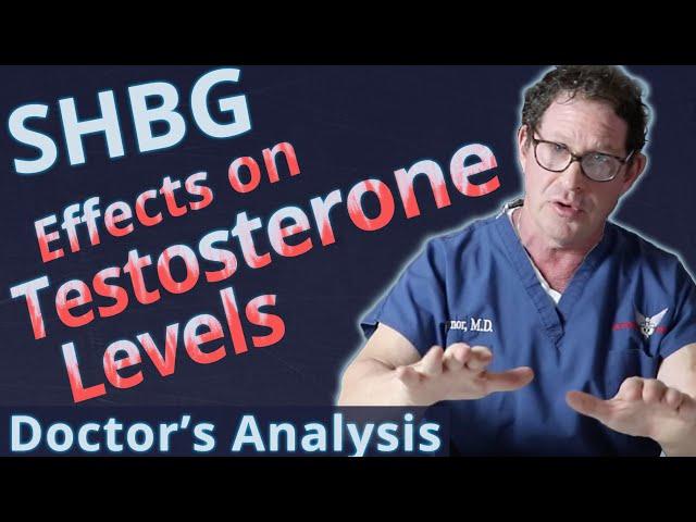 SHBG - Sex Hormone Binding Globulin Effects on Testosterone Levels - Doctor's Analysis