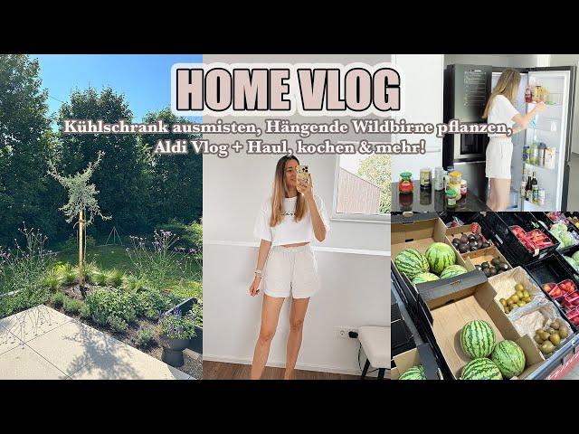 Kühlschrank ausmisten, Hängende Wildbirne pflanzen, Aldi Vlog + Haul, kochen & mehr!  Stefanie Le