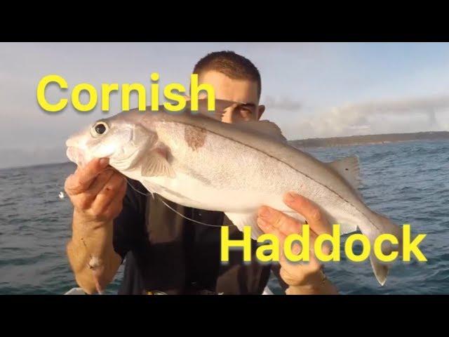 Haddock Fishing - Sea Fishing UK - Tips For Beginners | The Fish Locker