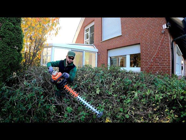 I CAME to trim the Yew Hedge, and I HAD to RADDICALLY prune the Rhododendron.