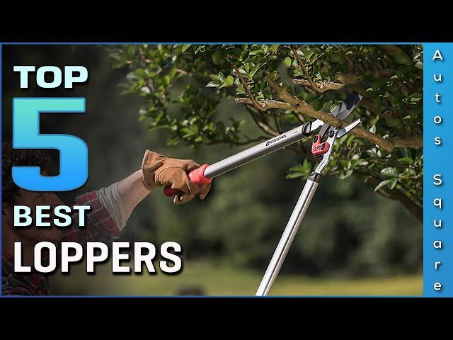 Top 5 Best Loppers Review in 2024