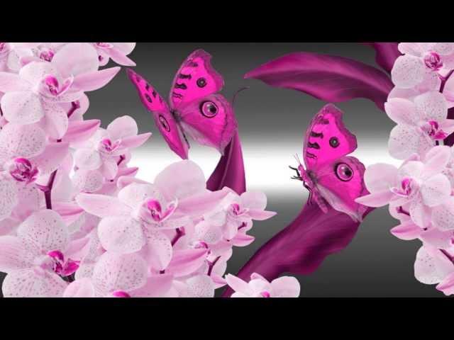Here Song - Heart