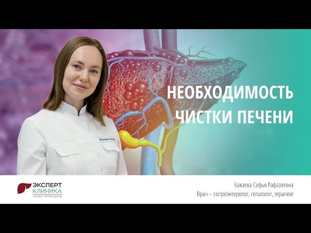 Необходимость чистки печени | Клиника ЭКСПЕРТ