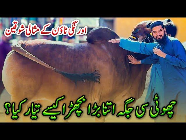 Master Sahib Ke Shagird Ka Misali Shouq | Khan Cattle Farm Orangi Town | Cattle Market Karachi