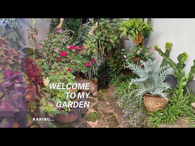 Welcome To My Garden | In Swahili We Say "Karibu".