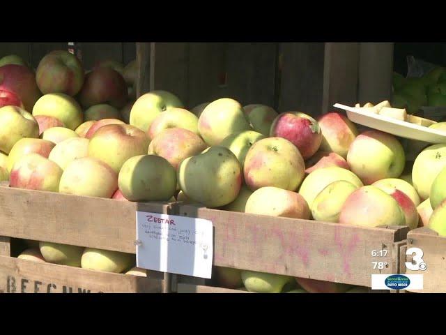 Double the value of your SNAP benefits at farmers markets