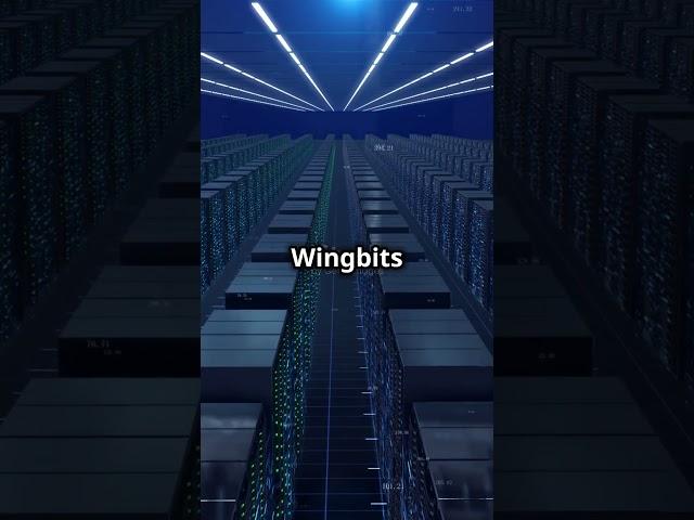 Wingbits  The Future of Decentralized