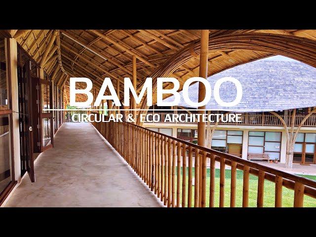 Bamboo - The ideal material for circular and eco architecture