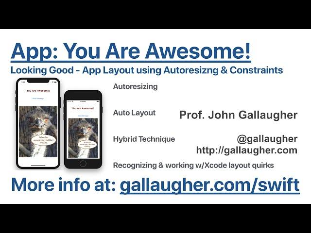 Ch. 2.7 Looking Good: App Layout, Auto Resizing, AutoLayout & Constraints   Swift Book v4