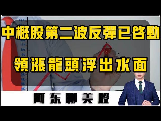 中概股集體大漲！第二波反彈的時間已經確定！領漲中概股的龍頭已經浮出水面，請珍惜好這次來之不易的回血機會！|美股|中概股|光伏太陽能|京東|老虎證券|富途控股|中國A股|美股分析|