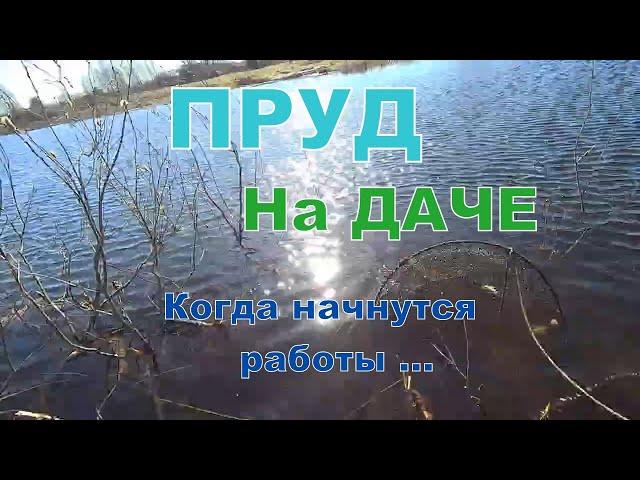 Спасаем пруд от гибели: как очистить и углубить старый пруд. Пруд на участке для рыбы и раков