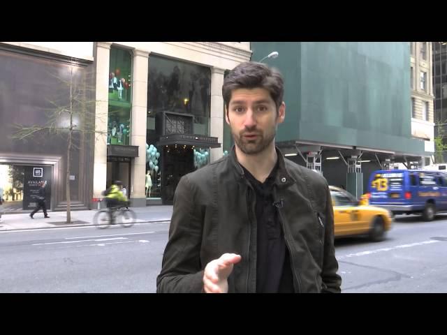 Ben Aaron And Otis Search For Wild Animals In NYC