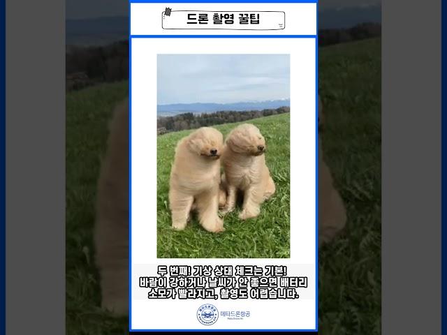 드론 촬영 어떻게 하는게 좋을까??