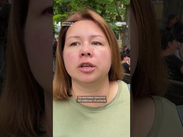 "Серце підказало": у Миколаєві прилаштовували безпритульних собак і котів #shorts