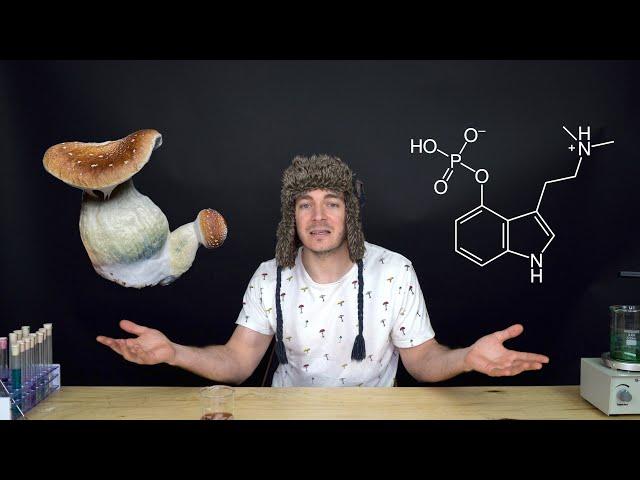 I Was WRONG About Magic Mushrooms