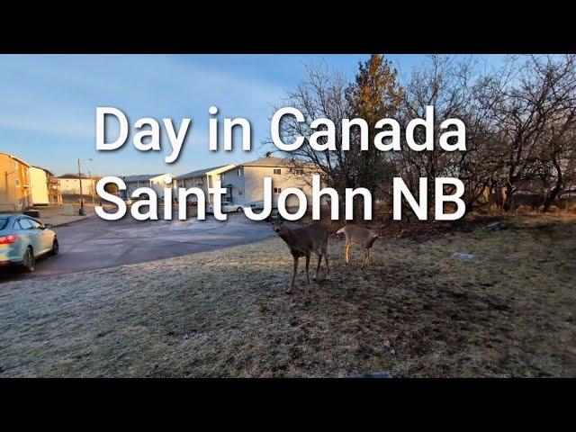 Canada Bisaya vlog  12-18-24