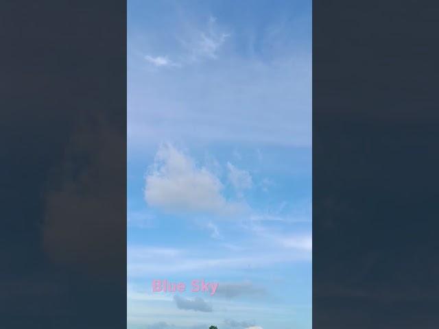#Blue #sky #safari song #shorts